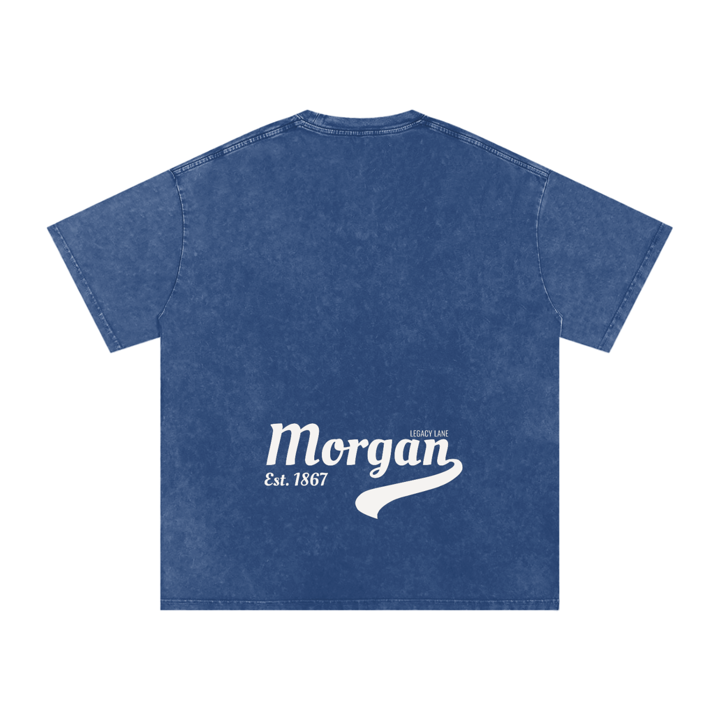 Collegiate Washed Oversized Cotton T-Shirt